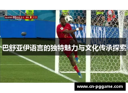 巴舒亚伊语言的独特魅力与文化传承探索